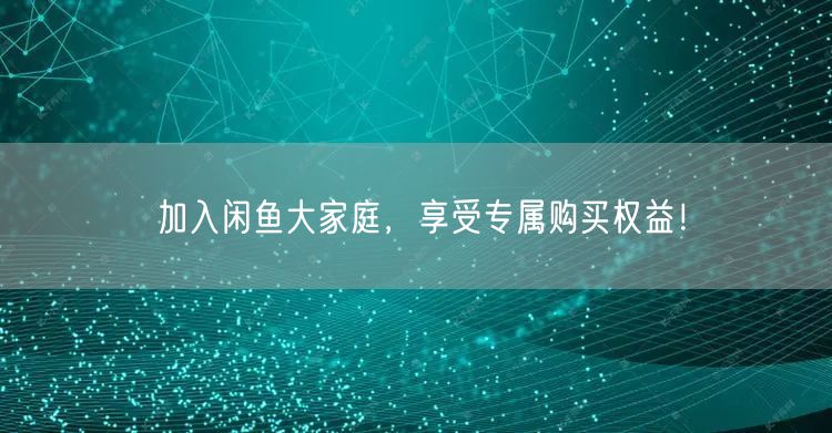 加入闲鱼大家庭,享受专属购买权益!