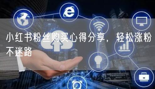 小红书粉丝购买心得分享,轻松涨粉不迷路