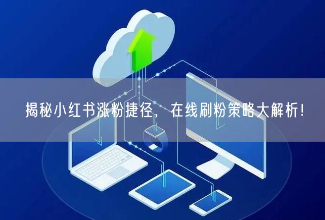 揭秘小红书涨粉捷径,在线刷粉策略大解析!