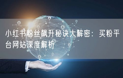 小红书粉丝飙升秘诀大解密:买粉平台网站深度解析