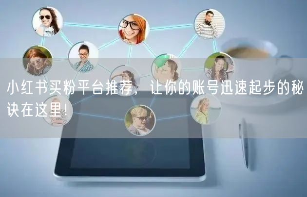 小红书买粉平台推荐,让你的账号迅速起步的秘诀在这里!