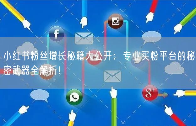 小红书粉丝增长秘籍大公开:专业买粉平台的秘密武器全解析!
