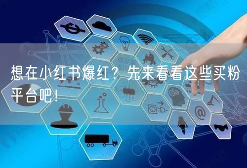 想在小红书爆红?先来看看这些买粉平台吧!