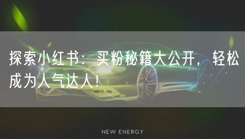 探索小红书：买粉秘籍大公开，轻松成为人气达人！