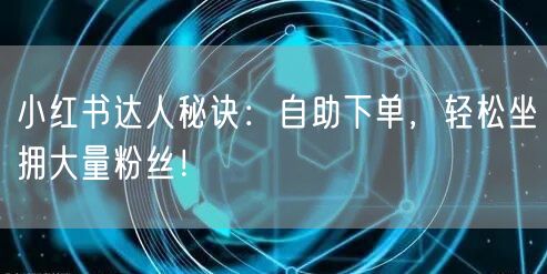 小红书达人秘诀：自助下单，轻松坐拥大量粉丝！