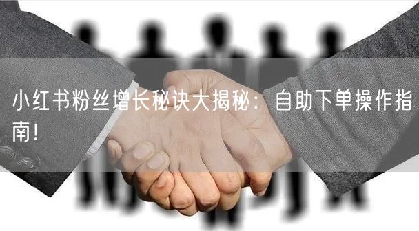 小红书粉丝增长秘诀大揭秘:自助下单操作指南!