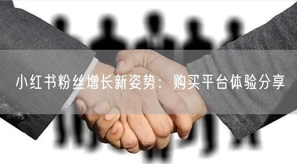 小红书粉丝增长新姿势：购买平台体验分享