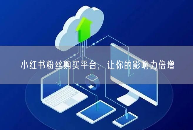 小红书粉丝购买平台，让你的影响力倍增