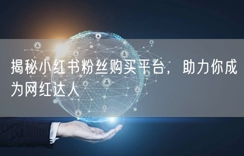 揭秘小红书粉丝购买平台，助力你成为网红达人
