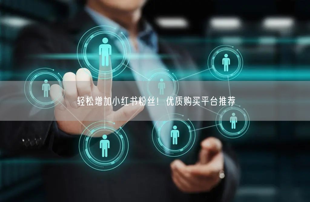 轻松增加小红书粉丝!优质购买平台推荐