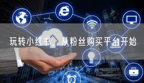 玩转小红书,从粉丝购买平台开始