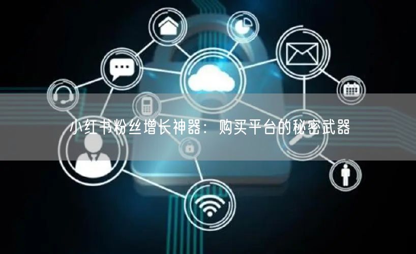 小红书粉丝增长神器:购买平台的秘密武器